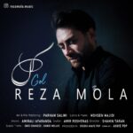 دانلود آهنگ رضا مولا گل